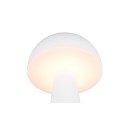 Trio Reality TR57716131 LED venkovní stolní svítidlo FUNGO | 2W integrovaný LED zdroj | 200lm | 3000+4000+5000K