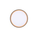 Trio Reality TR64391080 LED přisazené stropní svítidlo FELIS | 24W integrovaný LED zdroj | 2500lm | 2700-6500K