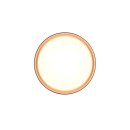 Trio Reality TR64391080 LED přisazené stropní svítidlo FELIS | 24W integrovaný LED zdroj | 2500lm | 2700-6500K