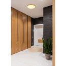 Globo GLB12381-22 LED přisazené stropní svítidlo TIBEY | 22W integrovaný LED zdroj | 1800lm | 3000K