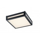 TRIO 620060142 Newa exteriérové ​​stropní svítidlo SMD 1x13W 1000lm 3000K IP54