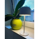 Immax 08497L LED solární venkovní stolní svítidlo CARO | 4W integrovaný LED zdroj | 150lm | 2700K