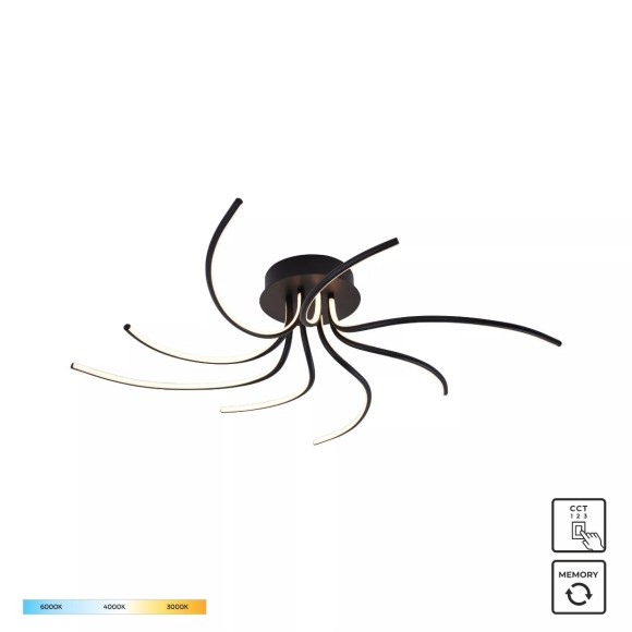 Zuma Line 2200012-BK LED přisazené stropní svítidlo DIOGO | 36W integrovaný LED zdroj | 3000/4000/6000K