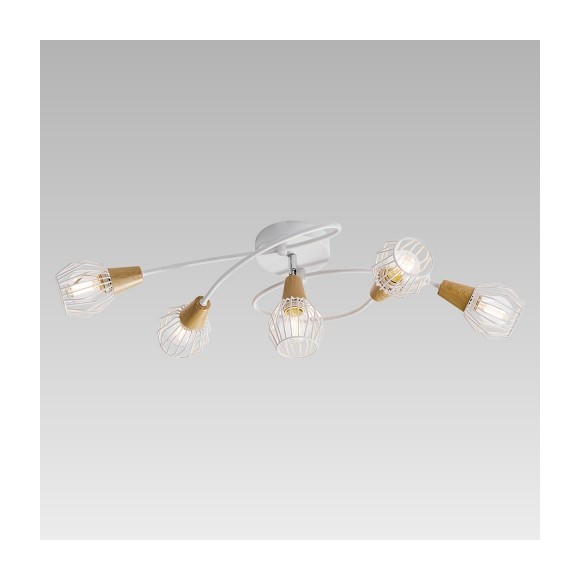 Prezent 92027506 stropní bodové svítidlo Tameta 5x40W|E14