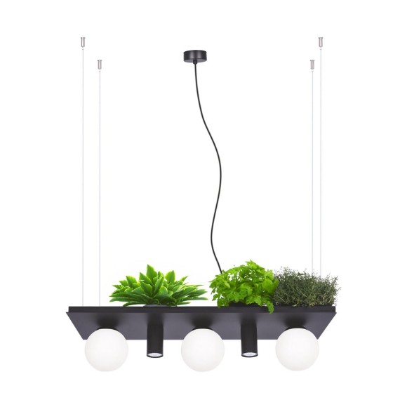 Zuma Line 5555 závěsné stropní svítidlo PLANT | 10W E14
