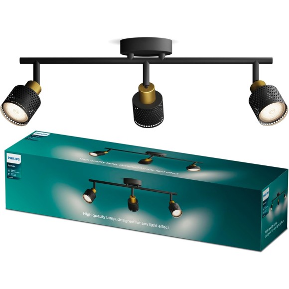 Philips 8720169300118 bodové stropní svítidlo Niall  GU10