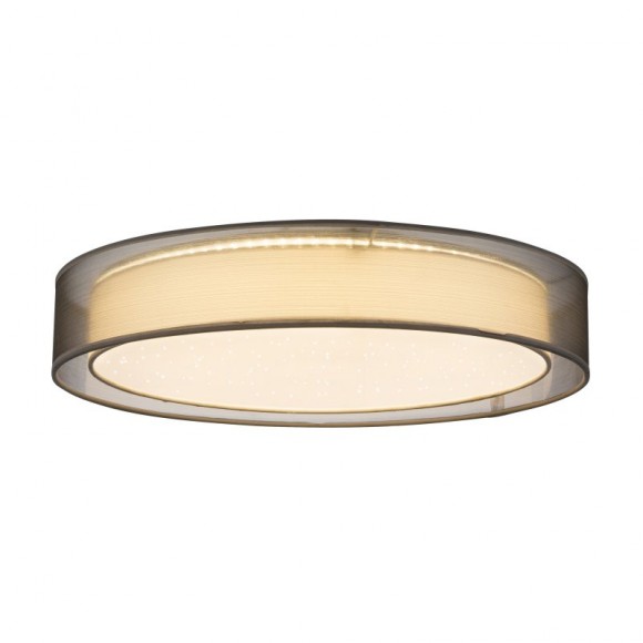 Globo 15190D4 LED stropní svítidlo Theo 1x60W | 2800lm | 3000K-6000K - dálkový ovladač, fixace barev, stmívatelné, noční osvětlení, šedá