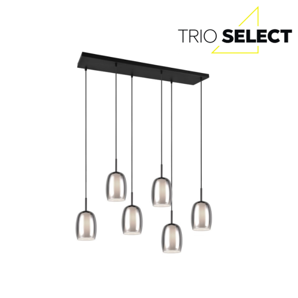 Trio SELECT  T317500654 závěsné stropní svítidlo BARRET   E14