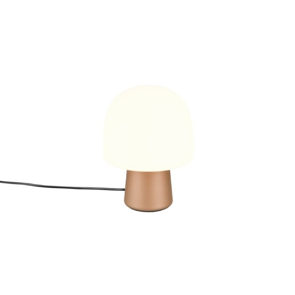 Trio T568200165 stolní lampička STEEN E14