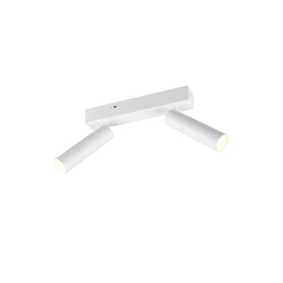 Trio T849210231 LED bodové stropní svítidlo AMBALA integrovaný LED zdroj | 2x500lm | 2300+3000+4000K