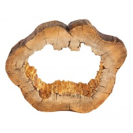 Globo Solar 36519 LED venkovní svítidlo 1xAAA 22x0,06W | 3000K | IP44