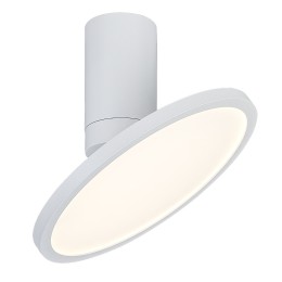 Rabalux 98071328 LED přisazené stropní svítidlo Ovidia | 20W integrovaný LED zdroj | 1370lm | 3000K