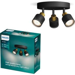 Philips 8720169300156 bodové stropní svítidlo Niall GU10