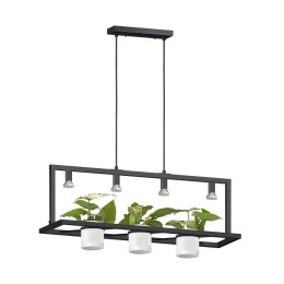 Zuma Line P0536-04B-P7AB závěsný lustr PLANTER | 7W GU10